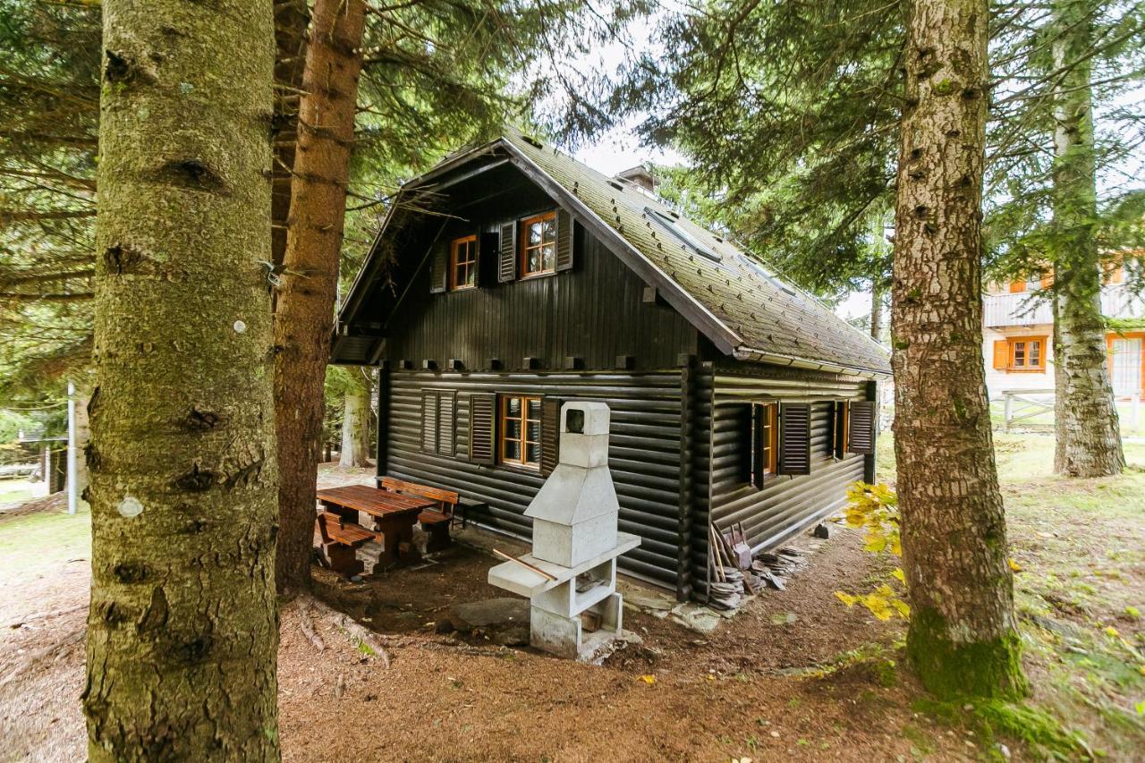Chalet Liza & Rozi Zgornja Loznica Экстерьер фото