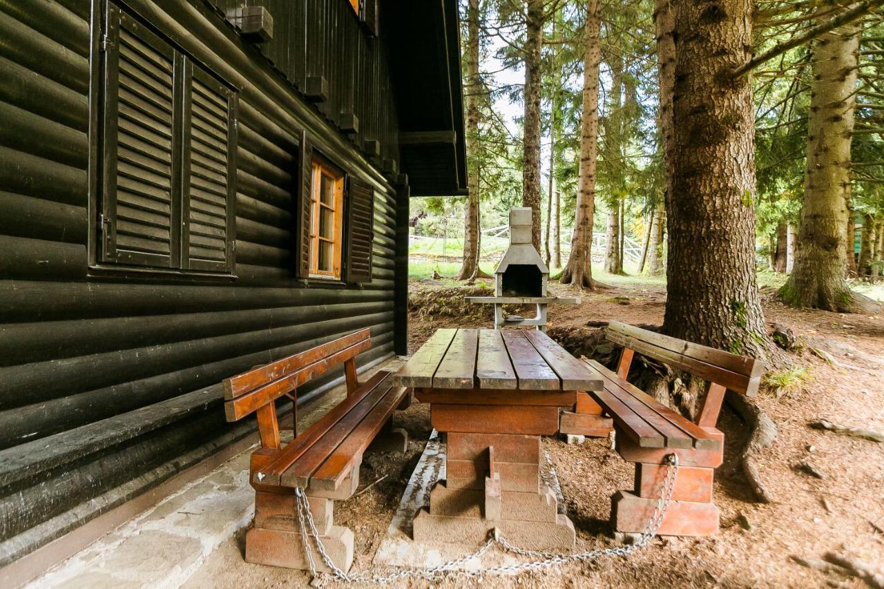 Chalet Liza & Rozi Zgornja Loznica Экстерьер фото
